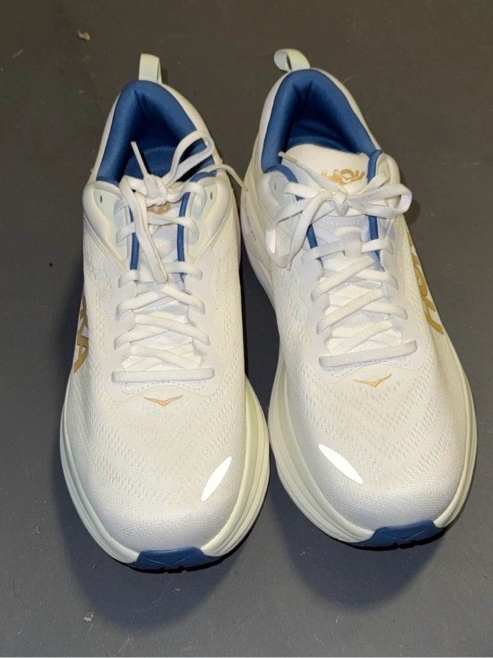 Hoka Blue and White Running Shoe Interior